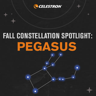 Fall Constellation Spotlight: Pegasus