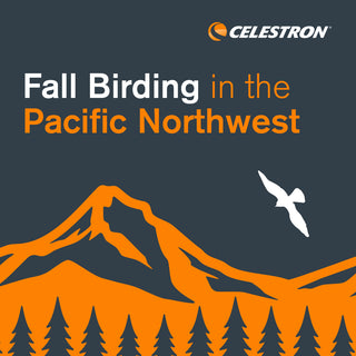 Fall Birding in the Pacific Northwest with the OSU Bird Nerds