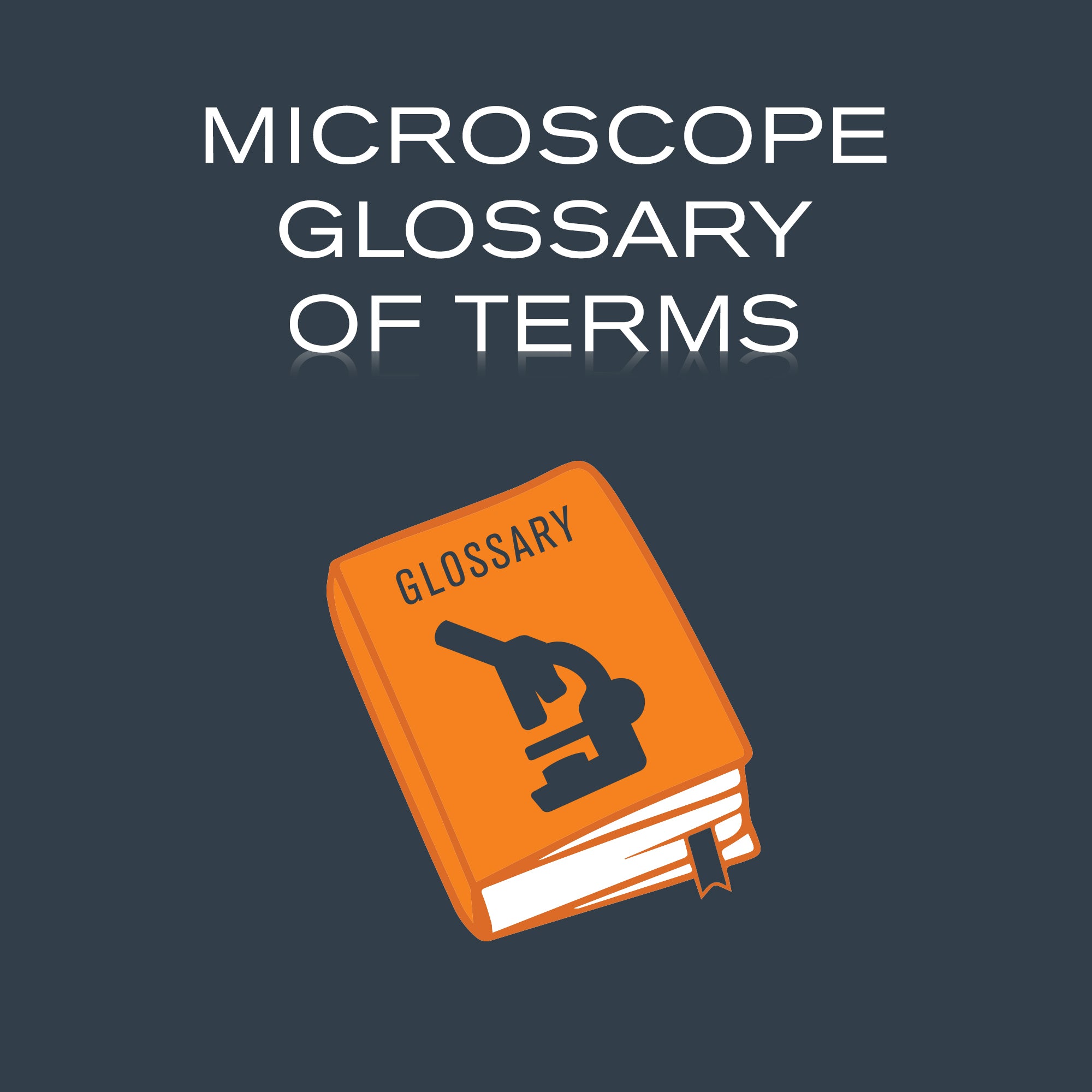 Field Dimensions, Glossary