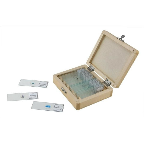 25 Piece Prepared Microscope Slide Kit | Celestron